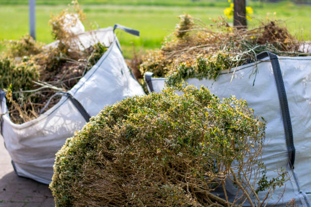 Best Trash Removal Near Me  in Mallory, WV