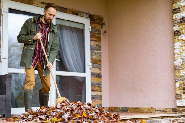 Best Affordable Junk Removal Services  in Mallory, WV